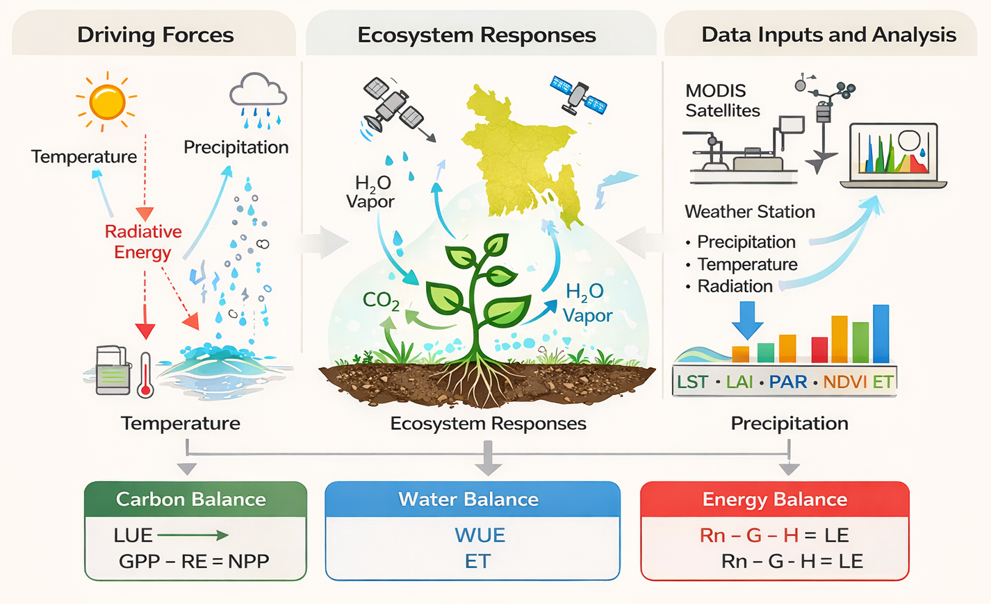 Ecosystem Processes and Carbon Uptake using remote sensing and climate data